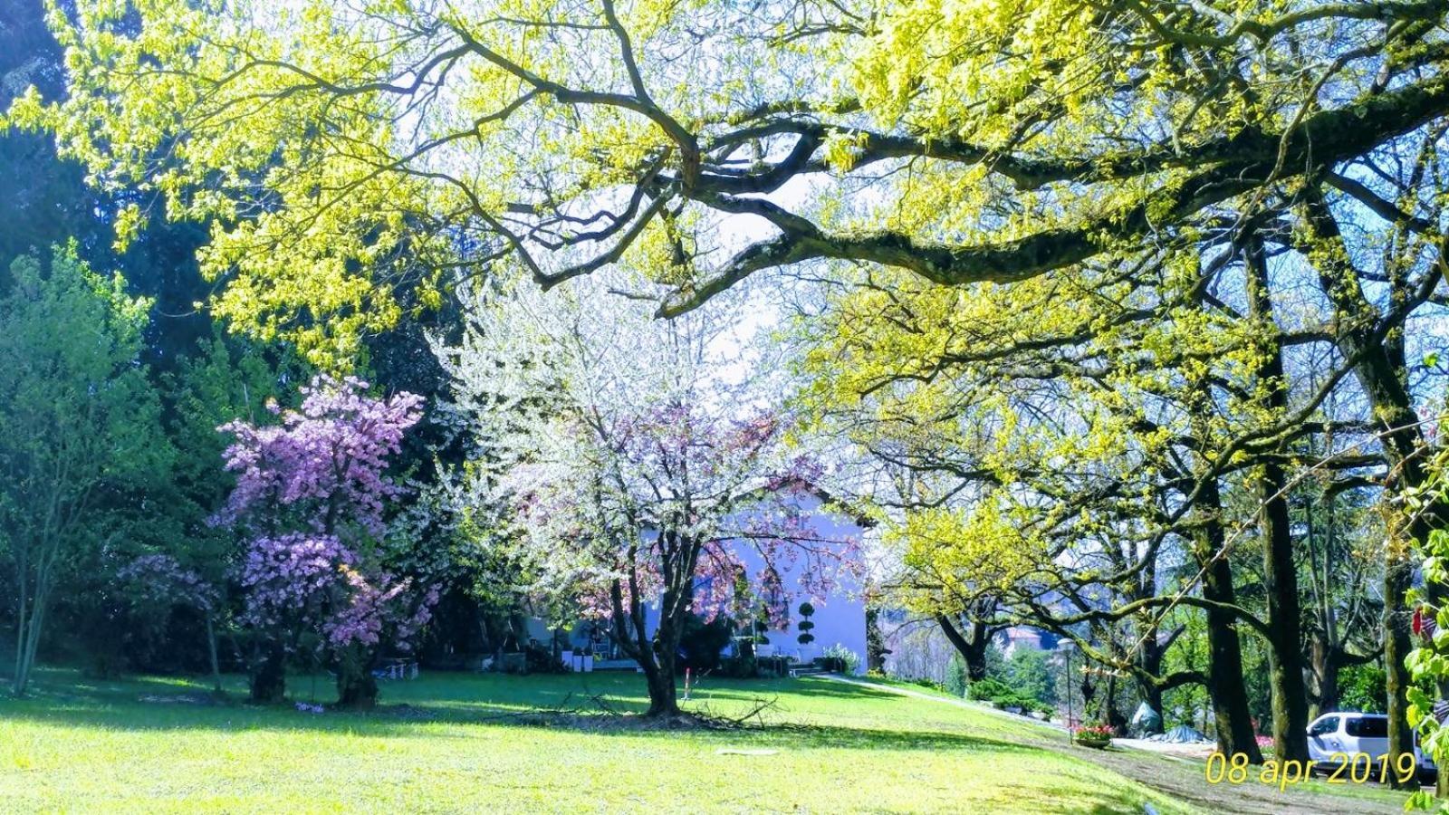 La Selvetta bed&breakfast Buguggiate Esterno foto