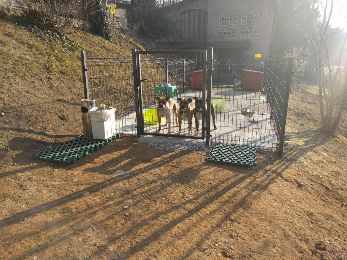 La Selvetta bed&breakfast Buguggiate Esterno foto